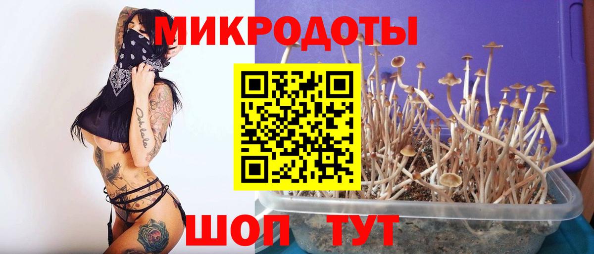 Псилоцибиновые грибы мухоморы Заинск